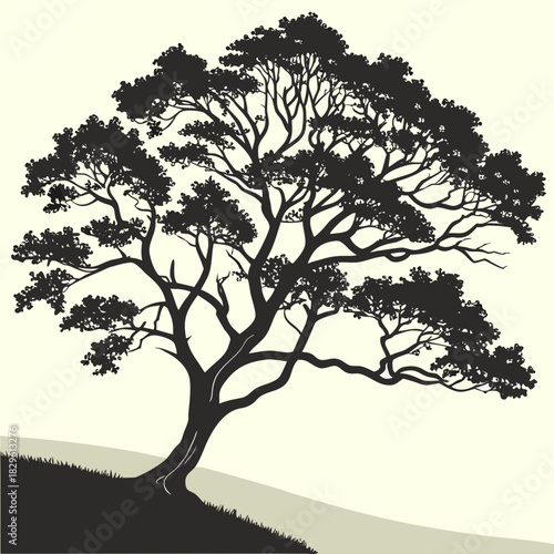 A solitary silhouette of a large mature tree with sprawling branches and dense foliage stands on a gentle grassy slope against a light cream background