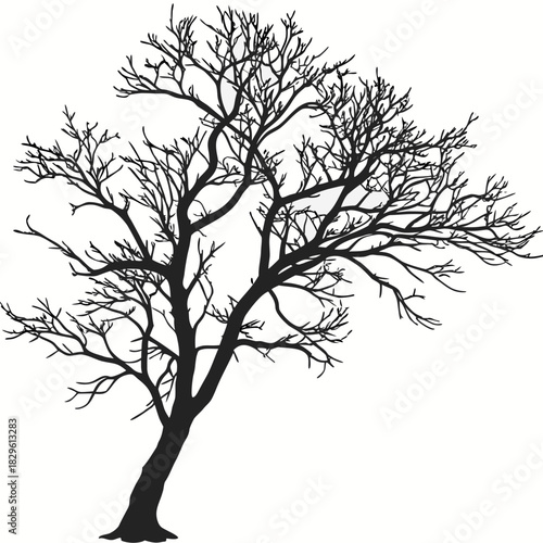 A stark black silhouette of a bare deciduous tree with intricate branching patterns against a clean white background conveying a sense of winter or dormancy
