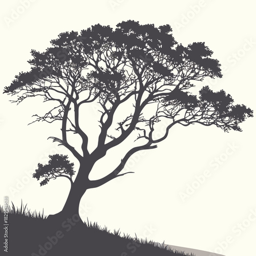 A solitary mature tree with a sprawling canopy and intricate branches silhouetted against a light cream background standing on a grassy hill