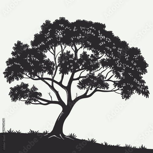 A detailed silhouette of a large mature tree with a full canopy of leaves and branches standing on a grassy hill against a plain background