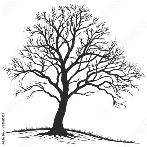Silhouette of a bare deciduous tree with intricate branches and exposed roots standing on a grassy hill against a white background symbolizing winter or dormancy