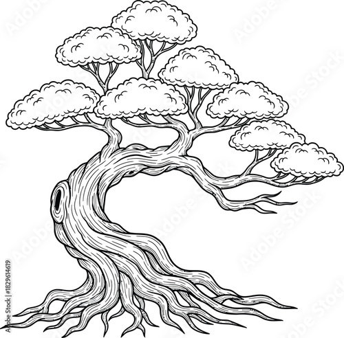 Bonsai tree drawing vector illustration zen garden outline design art eps silhouette