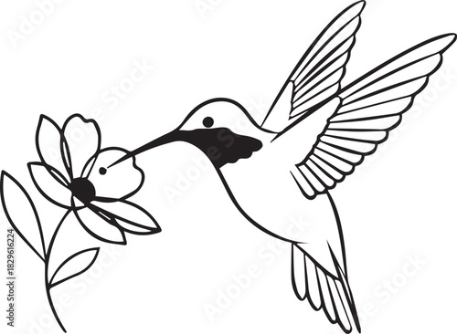 Elegant Hummingbird Silhouette with Flower Line Art Illustration
