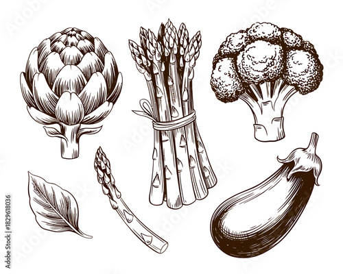 Vintage sketch of assorted fresh vegetables including artichoke asparagus broccoli and eggplant