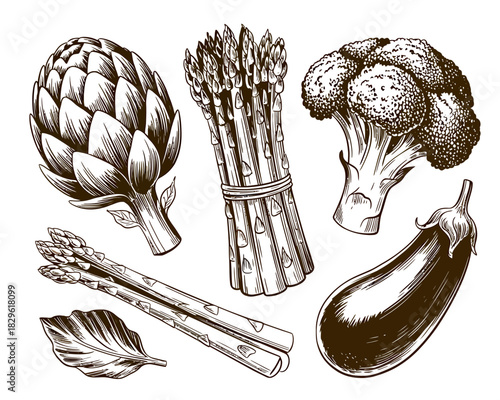 Vintage sketch of assorted fresh vegetables including artichoke asparagus broccoli and eggplant