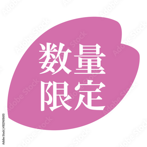 桜の花びらのイラスト素材　「数量限定」の文字入り　背景透過　ピンク
