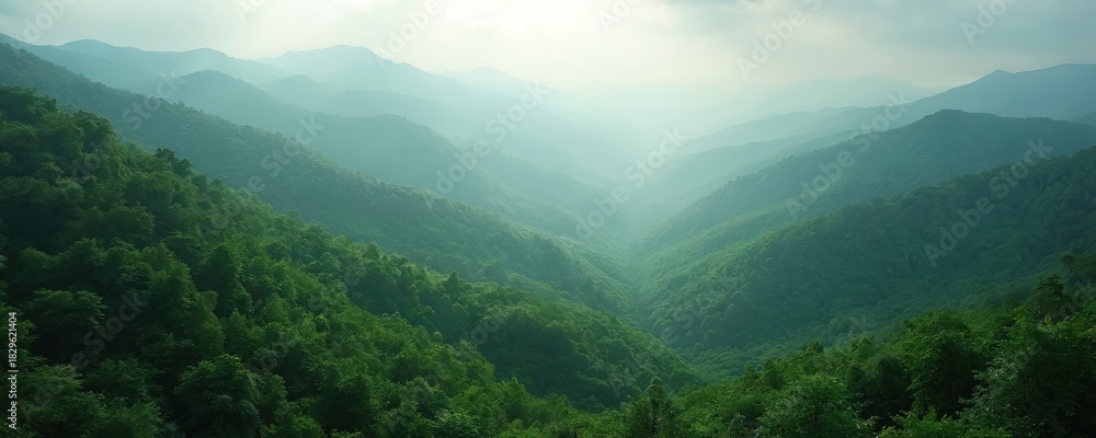 Obraz premium Misty green mountain valley with layers of forest. Sunlight filters through fog creating atmospheric landscape. Serene natural scenery, vast wilderness, remote terrain.