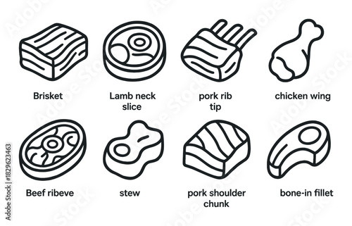 Vector set of various meat cuts including brisket, lamb, pork, and chicken