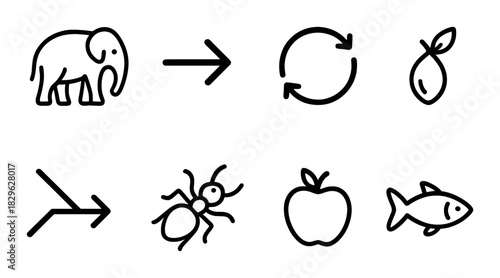 Visual sequence of transformation and evolution in nature with animals, fruit, and insects