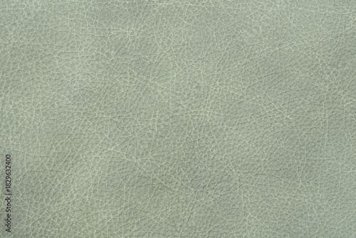 Abstract textured light green leather background with small pattern for web banner template or wallpaper design.