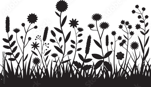 Black Silhouette of Wildflowers and Weeds Isolated on Transparent Background Field Plants Herbs Natural Meadow Flora Botanical 130 Characters