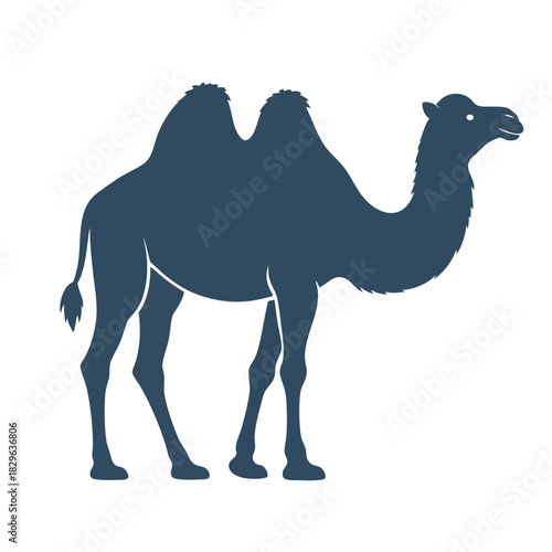Silhouette of a dromedary camel standing against a white background, isolated.