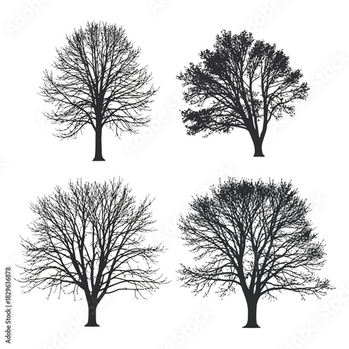 Four black and white tree silhouettes