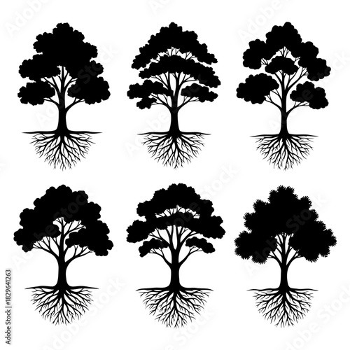 Six black and white tree illustrations with visible roots on a