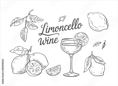 Hand-Drawn Limoncello Wine Sketch Set: Classic Italian Lemon Liqueur, Citrus Fruits, and Cocktail Glass Illustration for Menu Design and Beverages.
