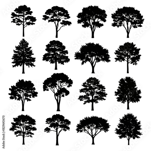 Collection of various tree silhouettes isolated on