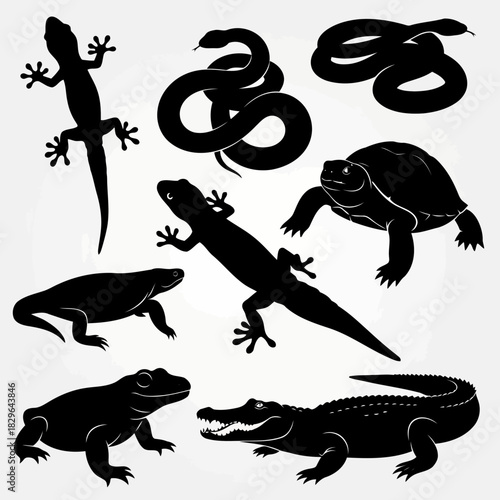 Black silhouettes of various reptiles and amphibians including lizards, snakes, turtles, frogs, and crocodiles on