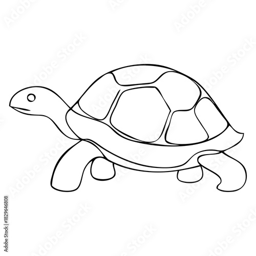 Dibujo de línea continua de tortuga tipo galápago 