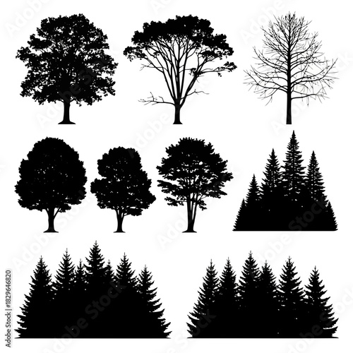 Collection of various tree silhouettes in black and white, isolated on