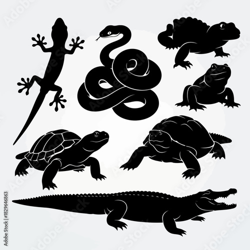 Various reptiles and amphibians including lizards, snakes, frogs, turtles, and crocodiles isolated on
