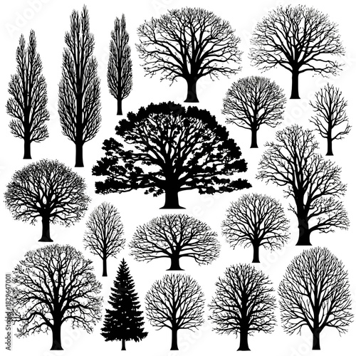 Collection of various tree silhouettes with different shapes and sizes, isolated on