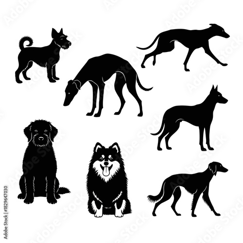Black silhouette illustrations of various dog breeds in different poses on
