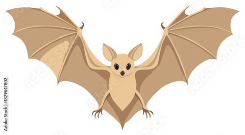 Cartoon bat with outstretched wings. Cute bat in flight or ready to fly.