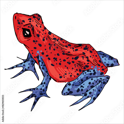 red frog with blue legs, spotted, white background clip art preview