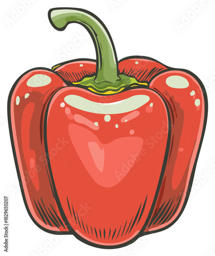 Vibrant Red Bell Pepper Illustration for Healthy Eating and Fresh Vegetable Concepts