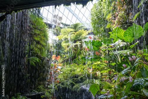 A stunning waterfall view inside the Cloud Forest at Gardens by the Bay, Singapore. The cascading water contrasts with the vibrant tropical plants under the glass dome