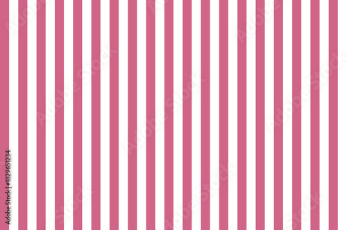 Purple Pink color and white color background with lines. traditional vertical striped background texture.