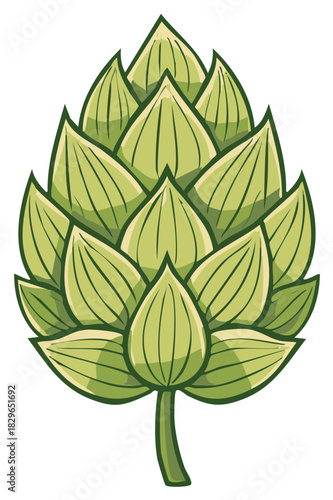 Cartoon Style Hop Cone Ingredient for Craft Beer Brewing Illustration