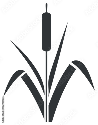Stylized illustration of cattail plant with broad leaves and seed head silhouette
