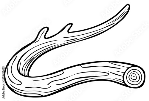 Curved Wooden Log or Gnarled Branch Outline Drawing Rustic Nature Element