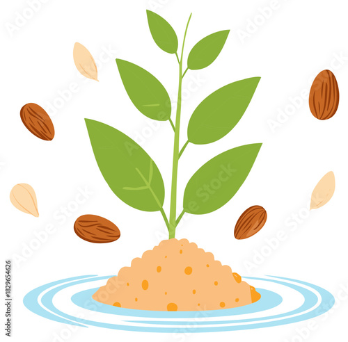 Illustration of sprouting plant with leaves and almonds, growing in soil and water.