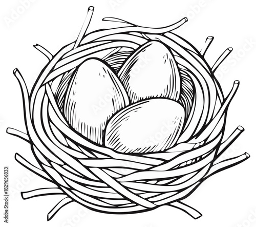 Three Oval Shaped Eggs Nestled Inside a Bird Nest Illustration