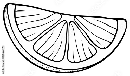 Stylized black and white outline of a citrus fruit slice showing segments and rind detail