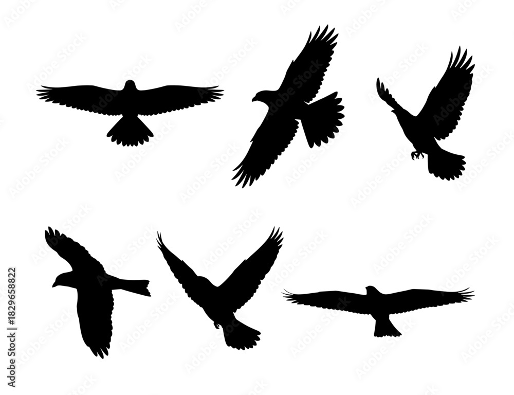Obraz premium Set of bird silhouettes in flight