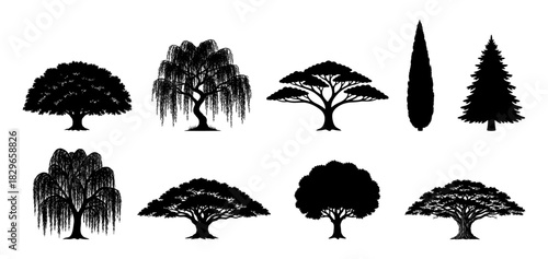 Set of tree silhouettes including willow and pine