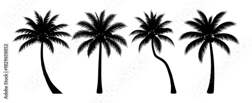 Set of palm tree silhouettes