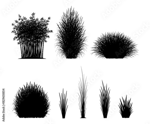 Set of plant silhouettes including bamboo and grasses