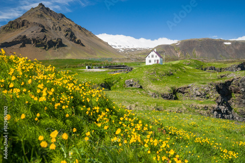 Fishing village Arnarstapi in western Iceland in summer