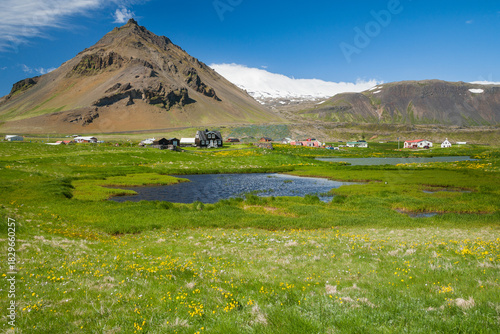 Fishing village Arnarstapi in western Iceland in summer