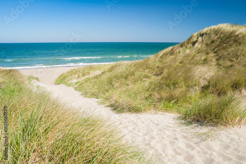 dune landscape in denmark