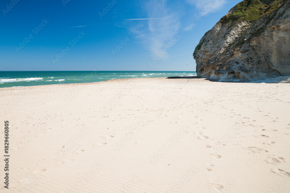 Obraz premium dune landsape in north denmark