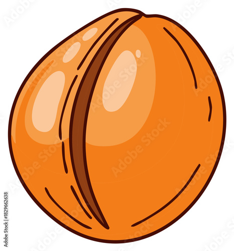 Stylized Vector Image of a Fresh Ripe Apricot Fruit with Defined Lines