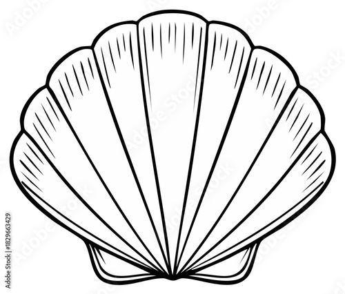 Simple Line Art Drawing of a Stylized Seashell