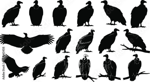 Collection of black silhouettes of vultures in various poses on a white background