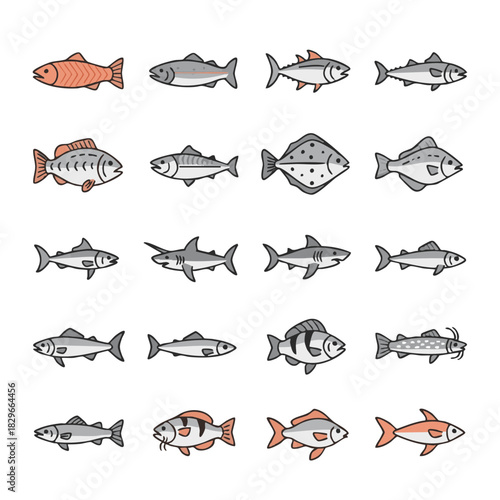 Minimal flat vector set of 15 fish icons including salmon, trout, tuna, carp, cod and other species, created in clean geometric style with simple rounded silhouettes and unified proportions on a white