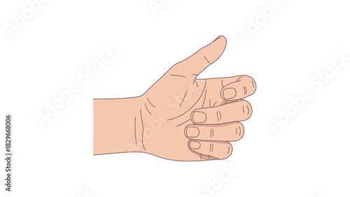 A light-skinned human hand with the thumb pointing upwards, fingers curled into a fist, on a white background.